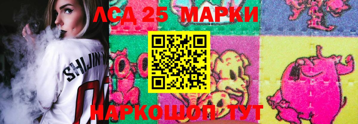 МЕФ Волгодонск