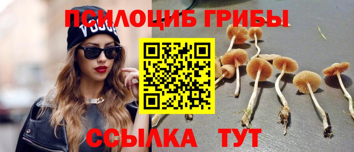 Псилоцибиновые грибы мицелий  Вход с VPN  Волгодонск 